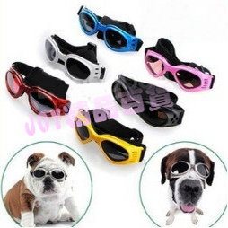 狗眼鏡 寵物眼鏡